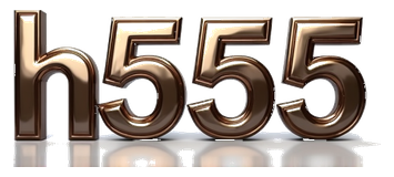 h555 online logo